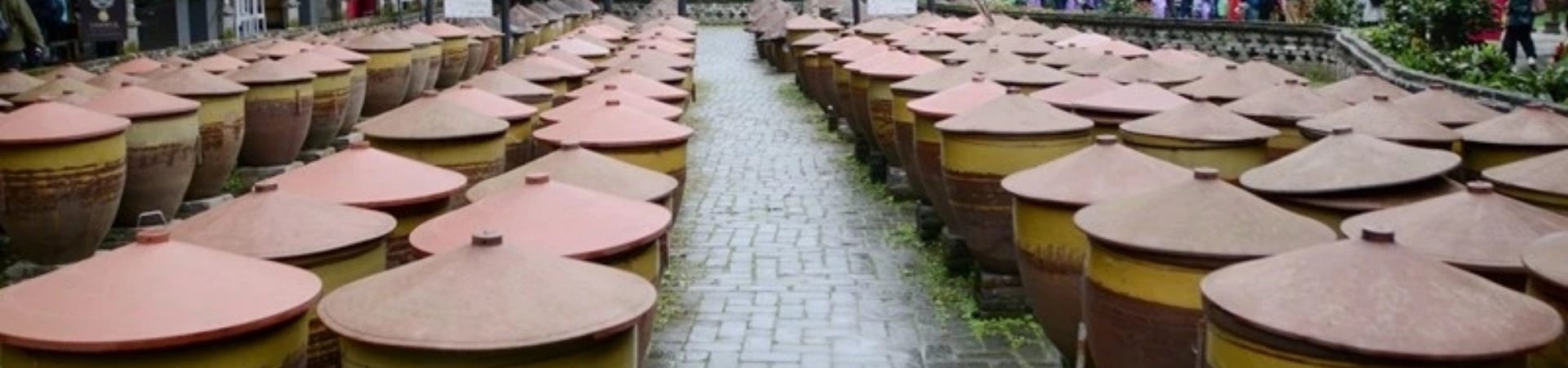 Privater Tagesausflug nach Chengdu: Giant Panda Base und Luodai Antike Stadt