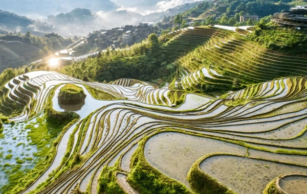 Día 4: Yangshuo - Longsheng 