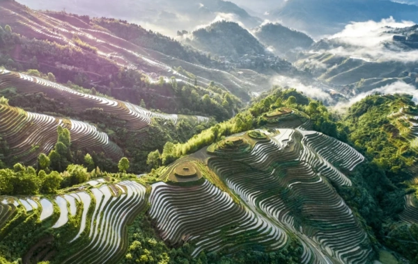 Día 5: Senderismo " Conduzca de regreso a Guilin