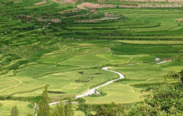 Día 8: Rongjiang - Kaili 