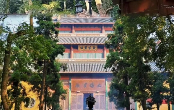 Día 5: Shanghai--Hangzhou