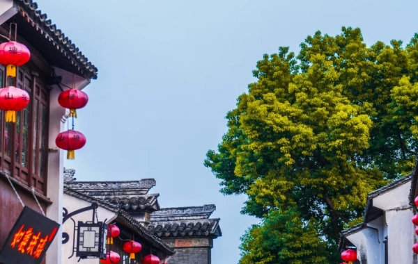 Día 7: Suzhou--Shanghai