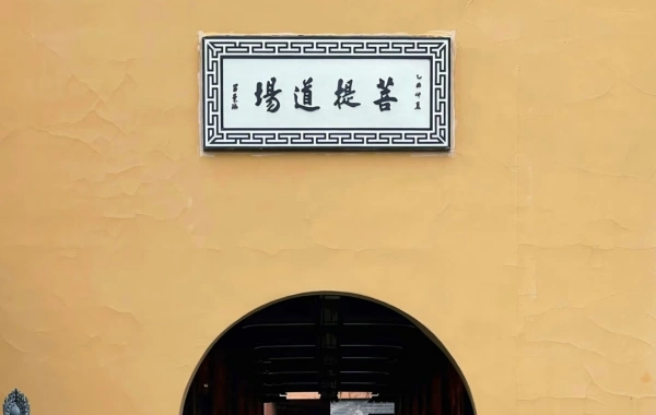 Día 8: Salida de Shanghai