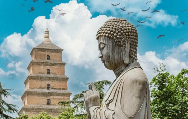 Day 5: Discover Xi'an's Treasures