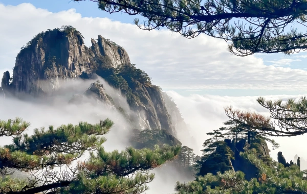 Huangshan Wuyuan Wangxiangu 4-Days Tour