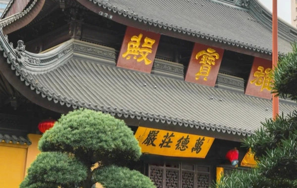 اليوم 2: شنغهاي شانغراو