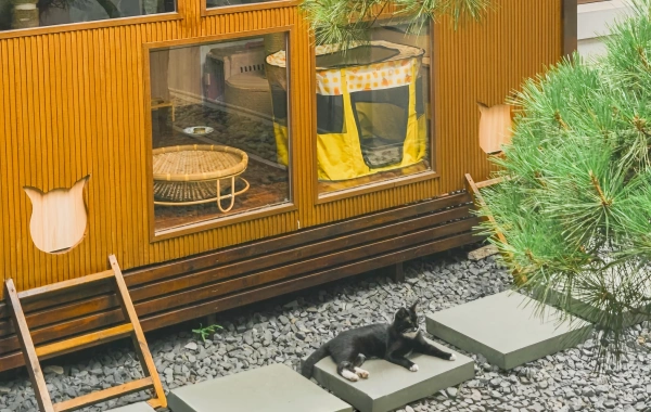 اليوم 2: شنغهاي شانغراو