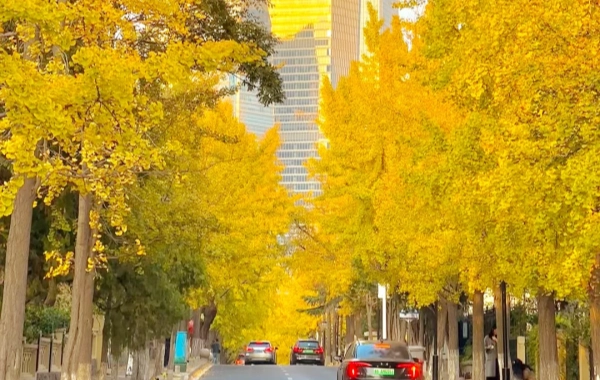 Jour 1: arrivée de Qingdao