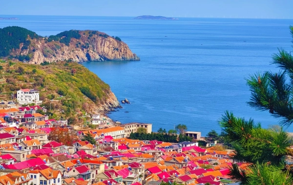 Jour 2:Qingdao - Weihai